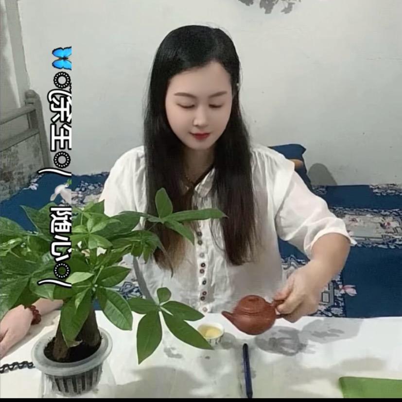 湘姐