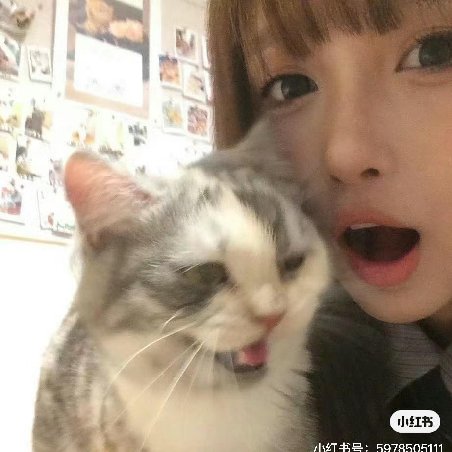 是🦁不是猫咪🐈