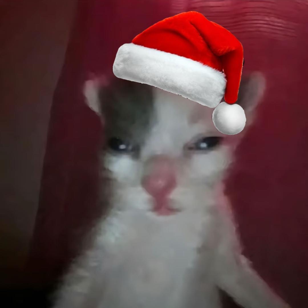 ￴￴￴ ￴￴ ￴ ￴