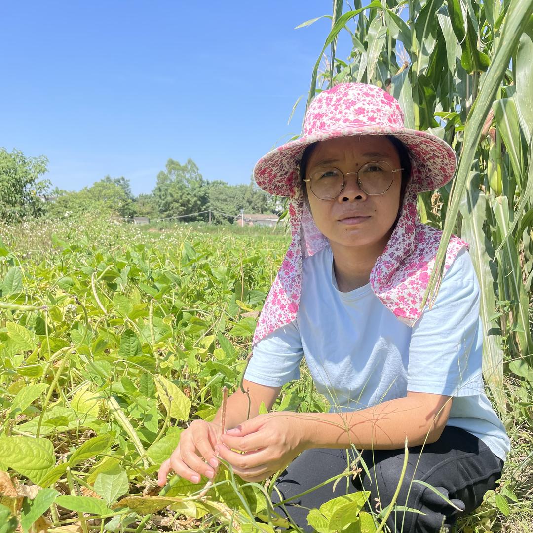 绿沫老品种农产品