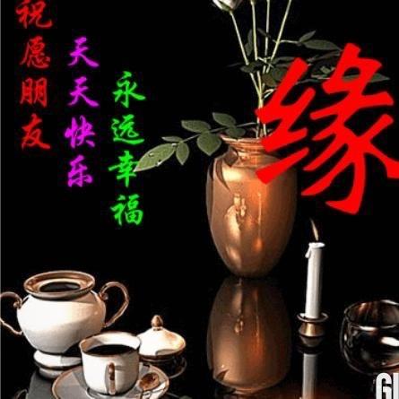 今世缘