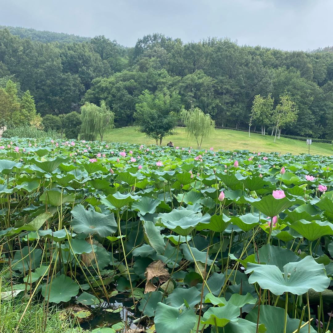 快乐的奶奶👵🏻