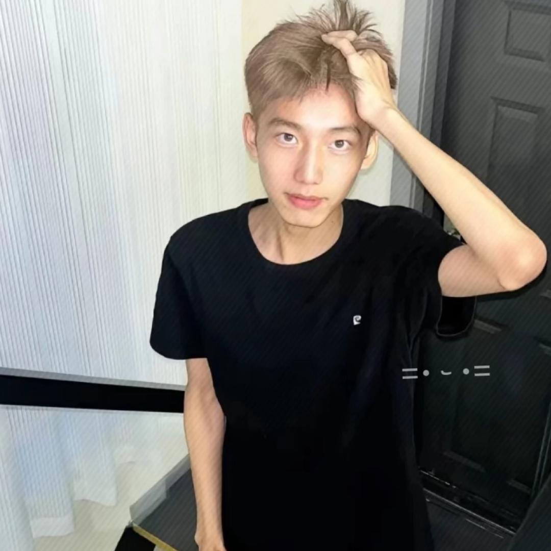 纯