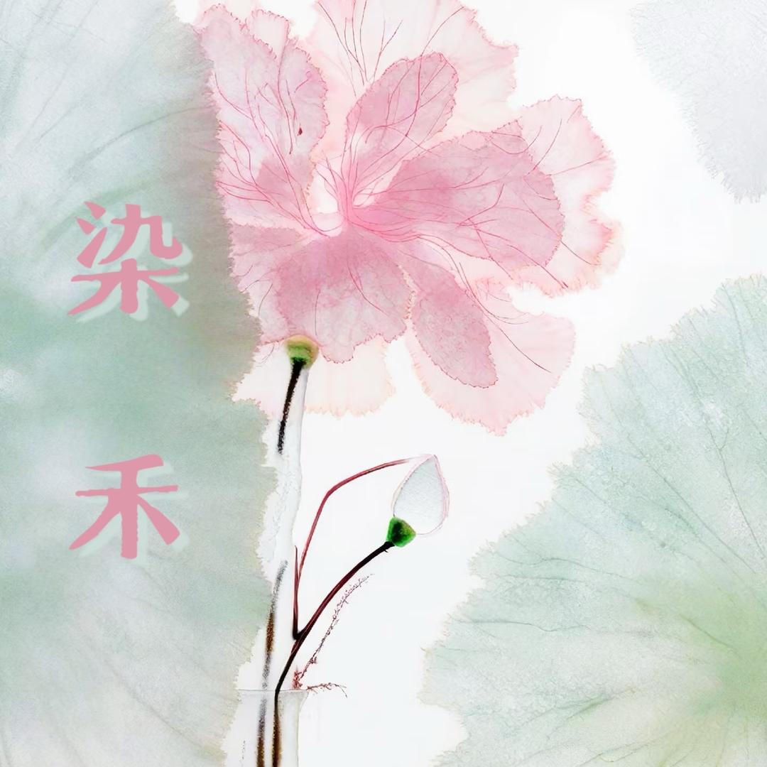 染禾精选