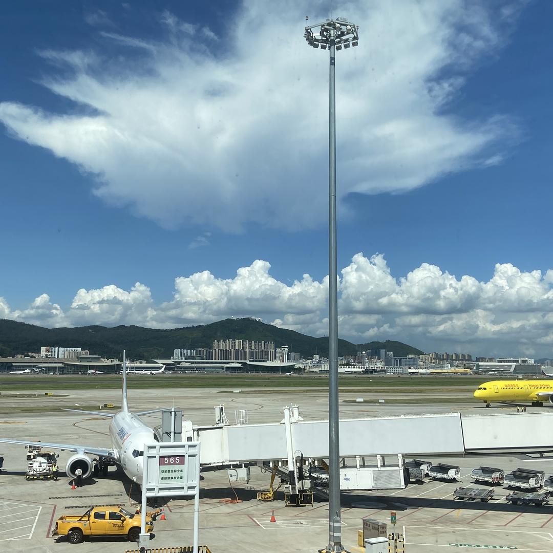 小红帽临期清货(营养师版)