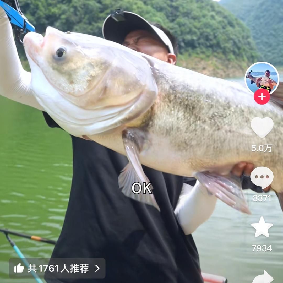 的模样想我