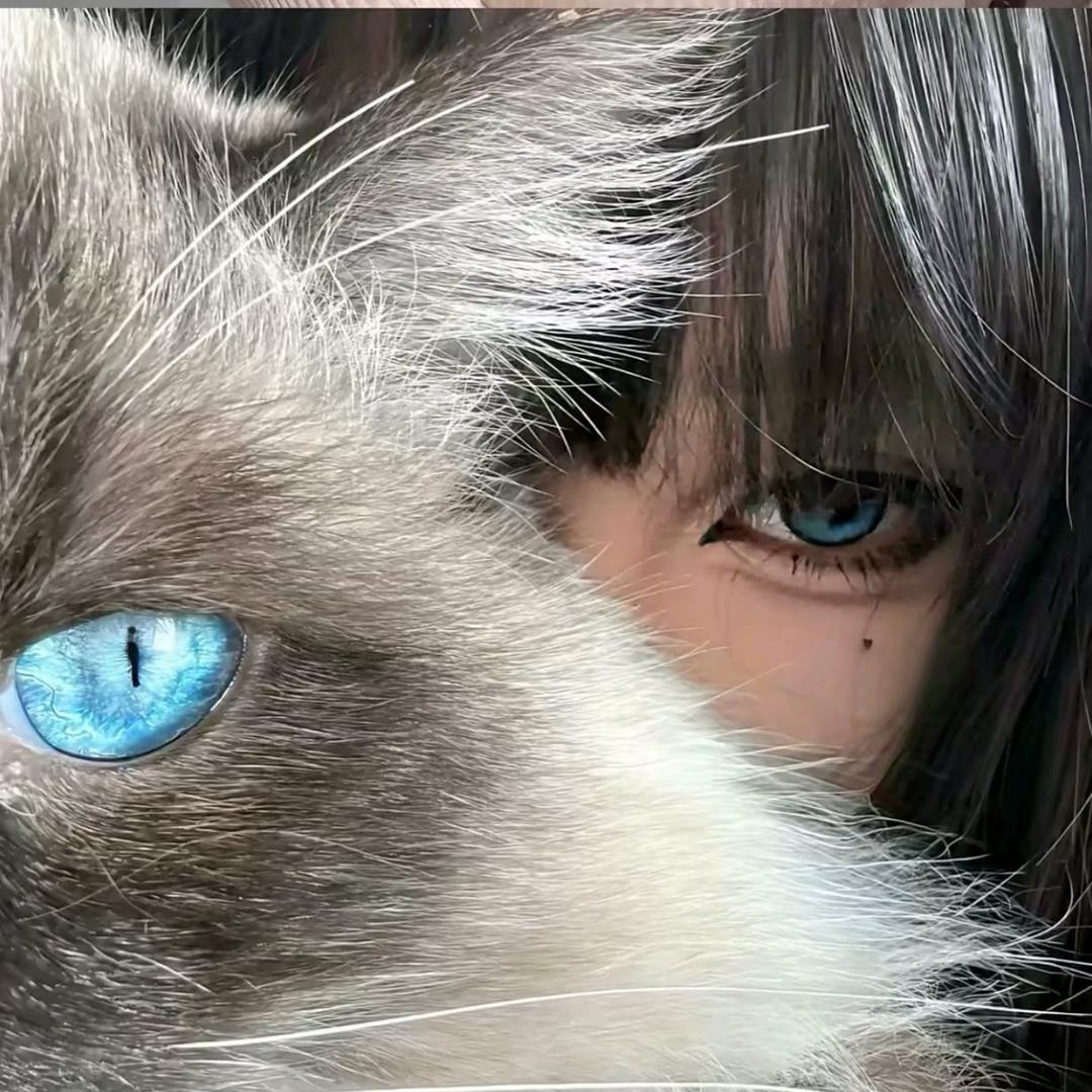 阿森.