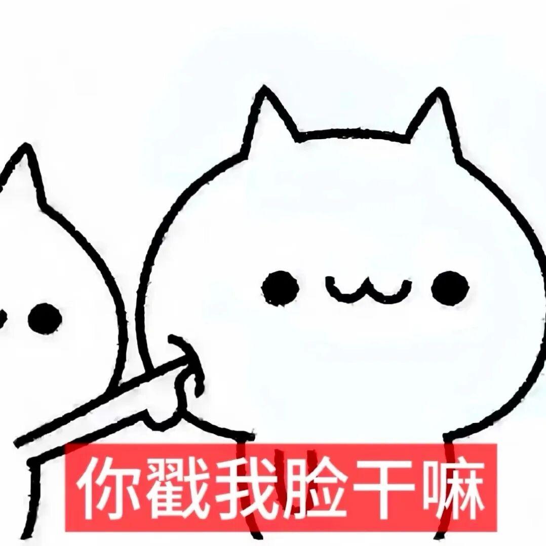 听命于婷