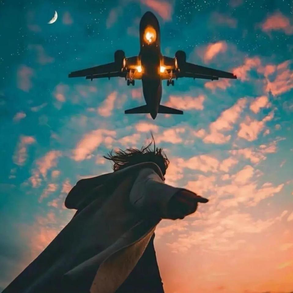 去码头整点薯条