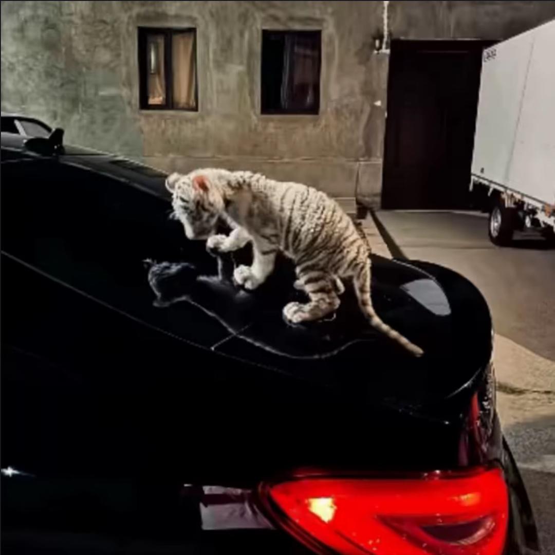 一休⁥⁥  ⁥⁥⁥