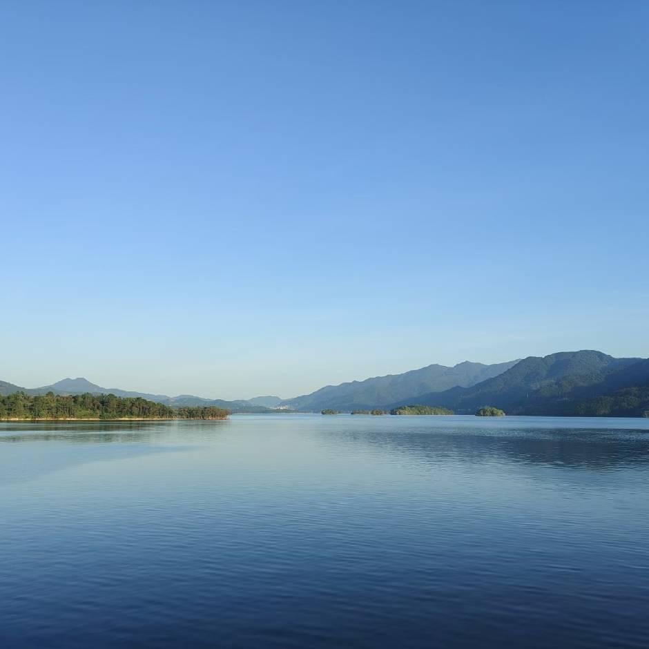 森林（已退抖勿扰）