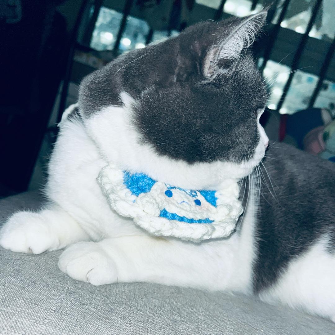 麻辣凉粉凉面面皮面筋木肚子