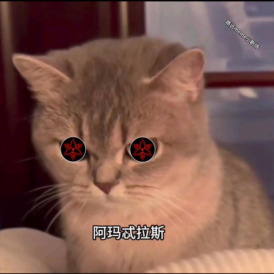 路远小meme