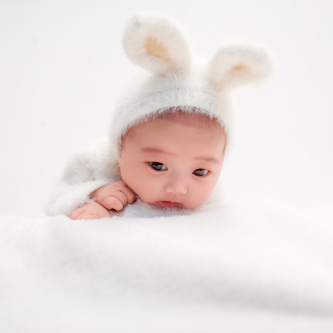 一只小多米（七月龄）