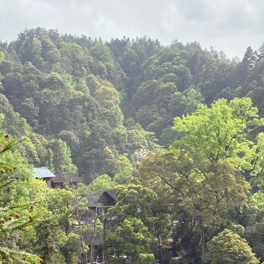 湘里守村人