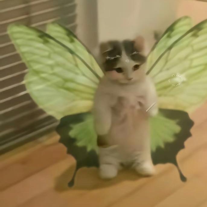 脑袋