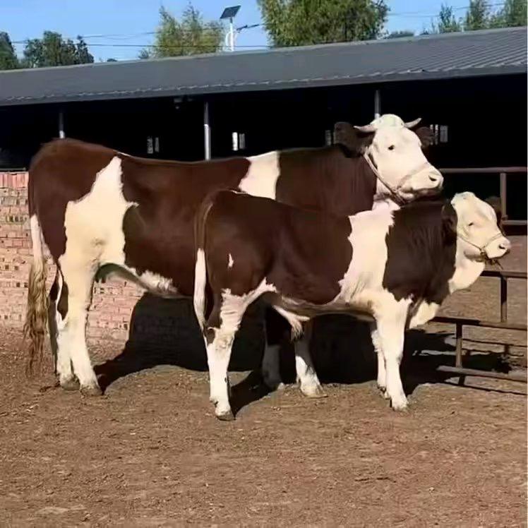 郓城浩洋养殖有限公司