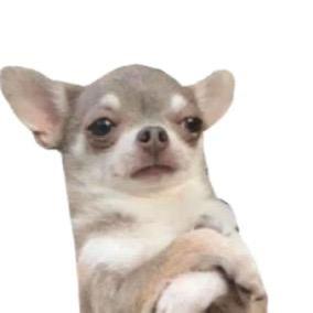 狗牙