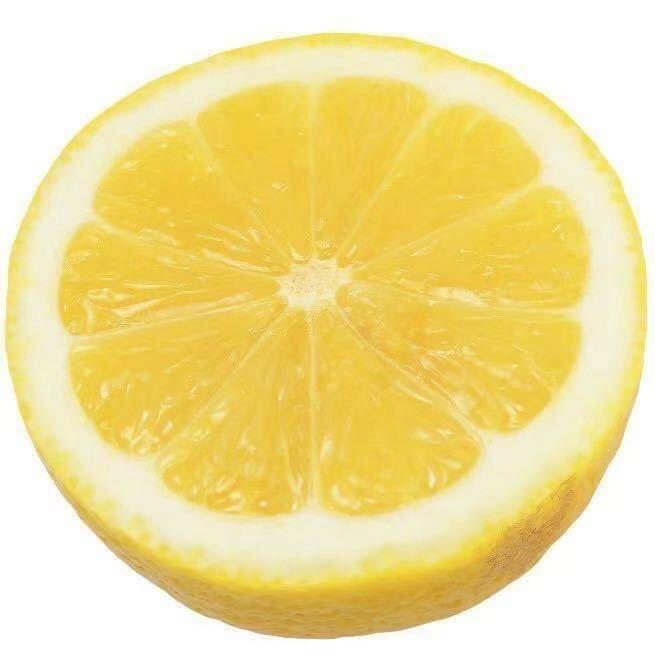 四天钳
