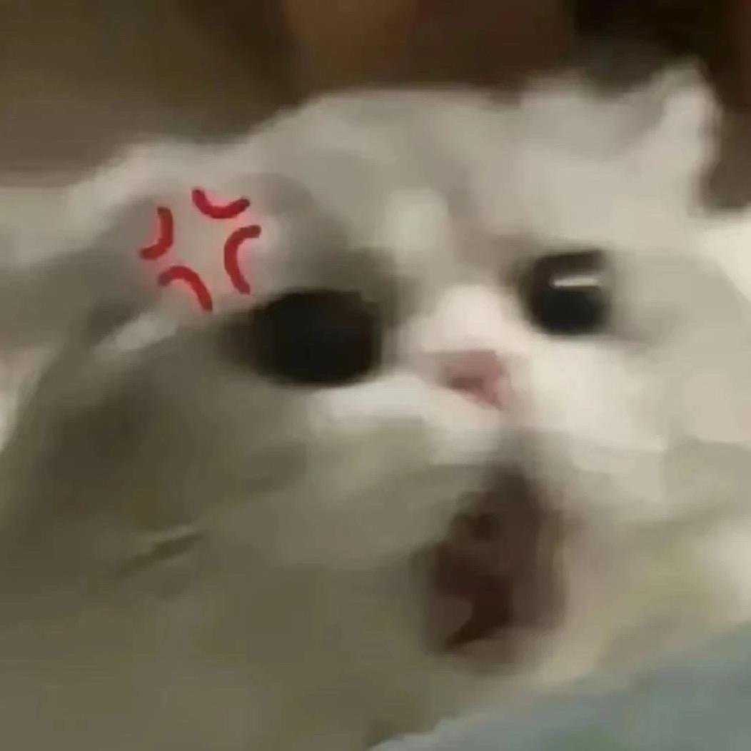 暴躁鱼崽