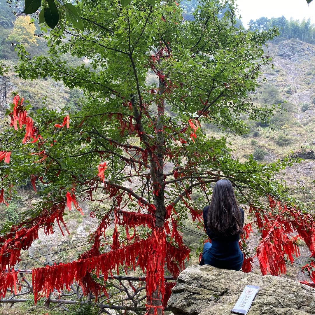 寻韩仙花