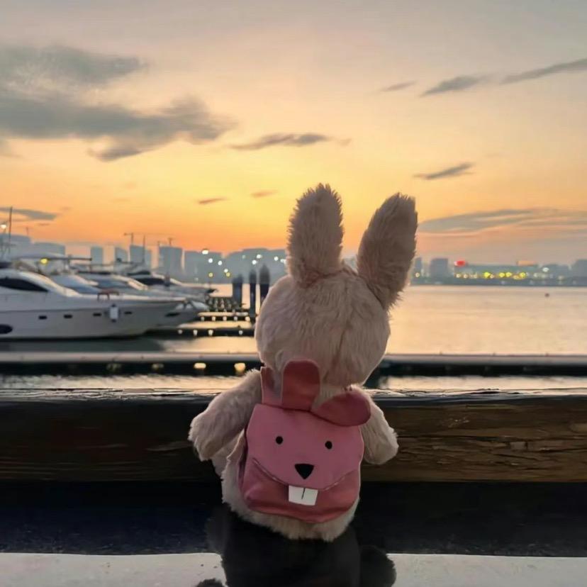 喵喵爱吃小鱼干