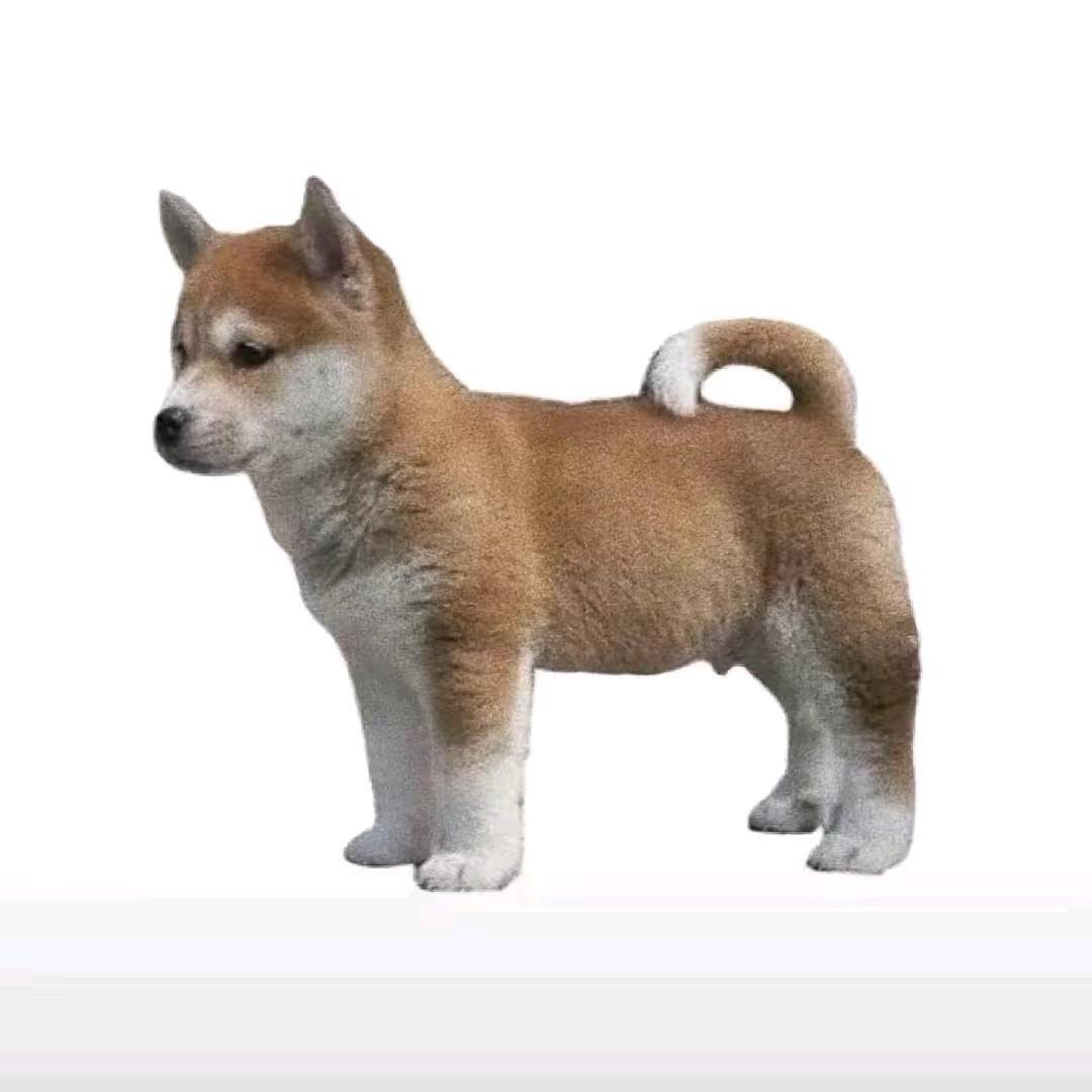 修直