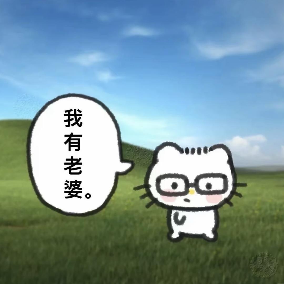 极品初中生