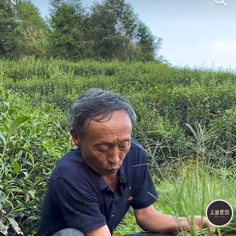 天楚茶韵武夷山天楚电子商务有限公司茶叶专卖店