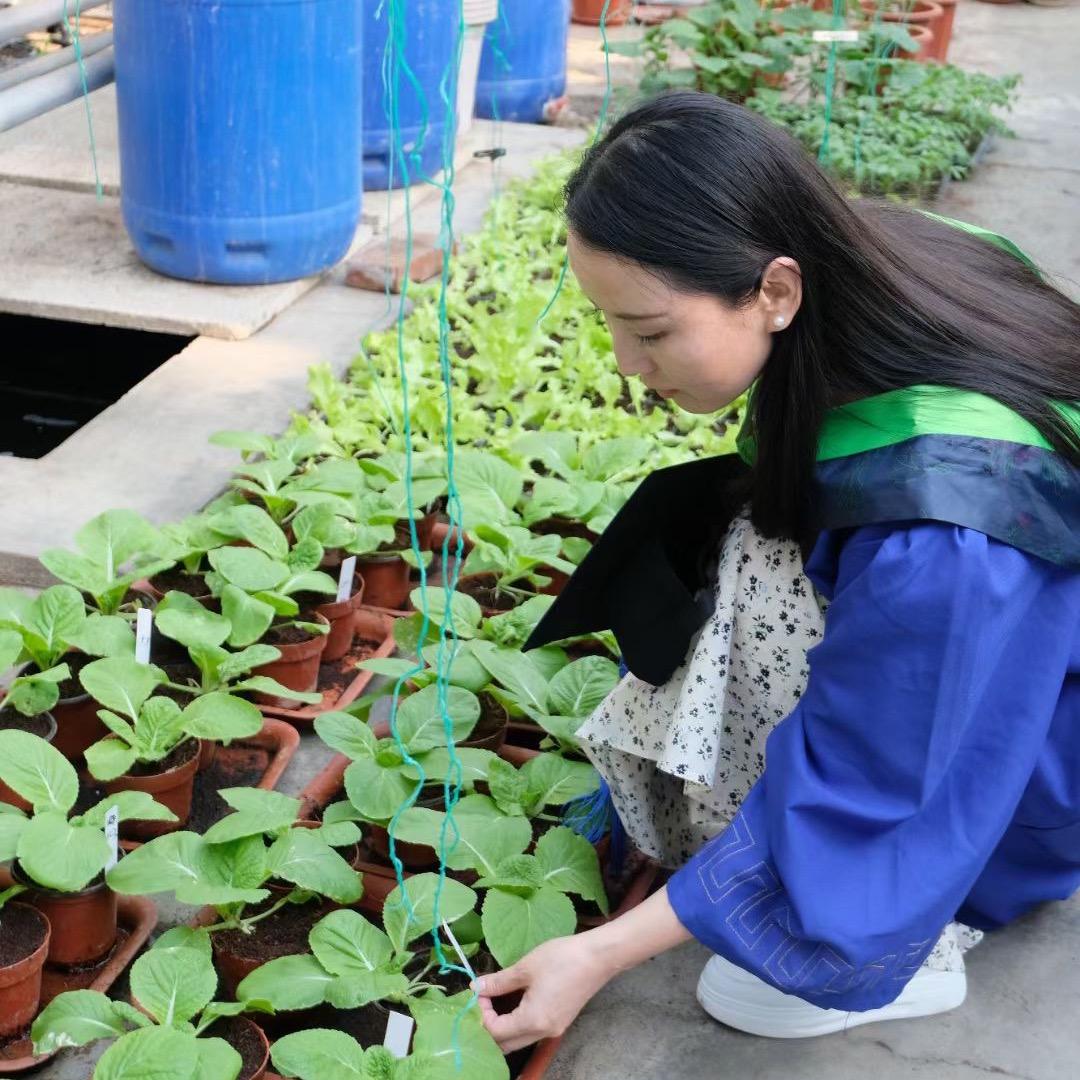 疆小白（新农人）