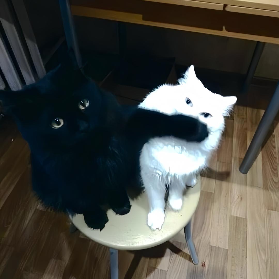 吃午安