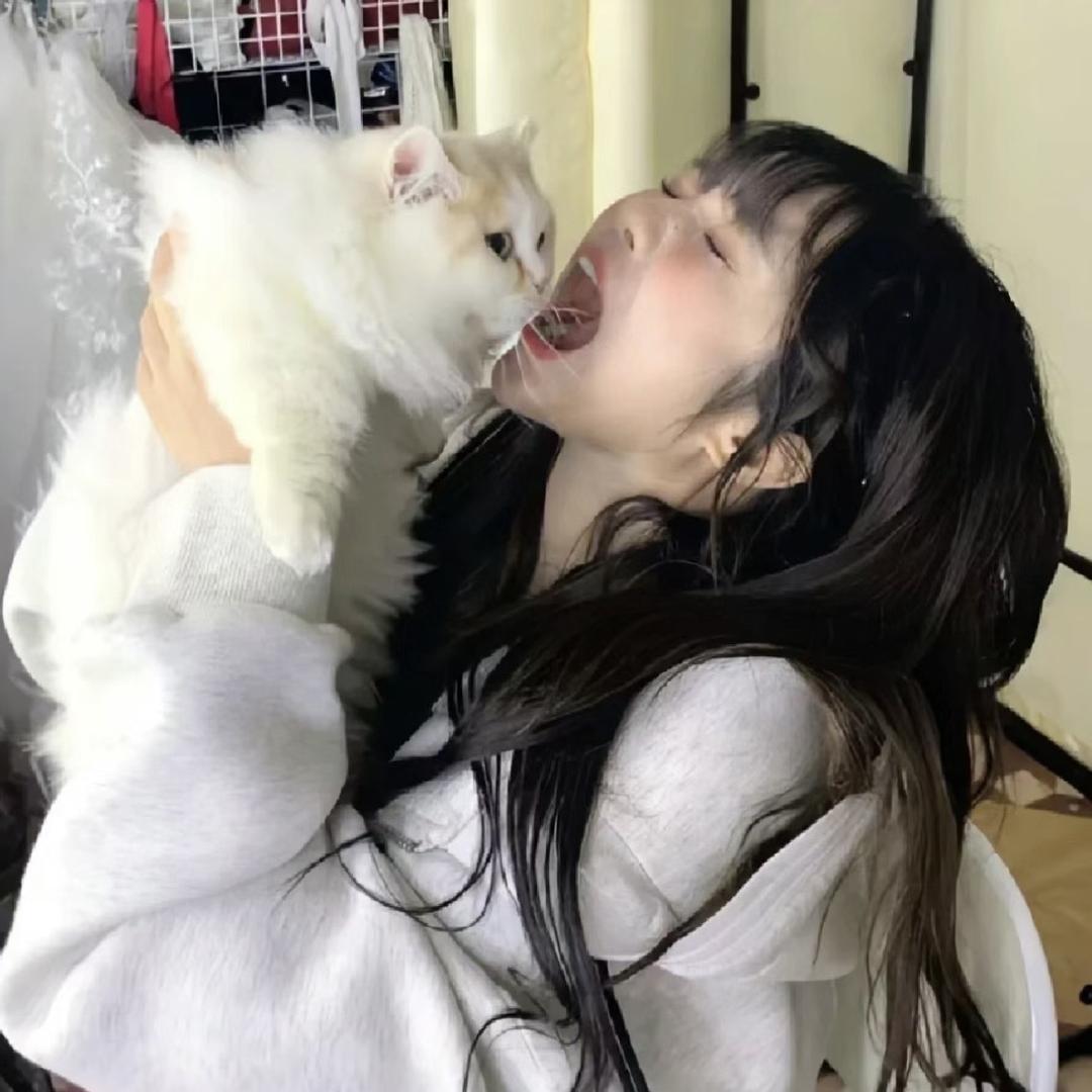 然宝