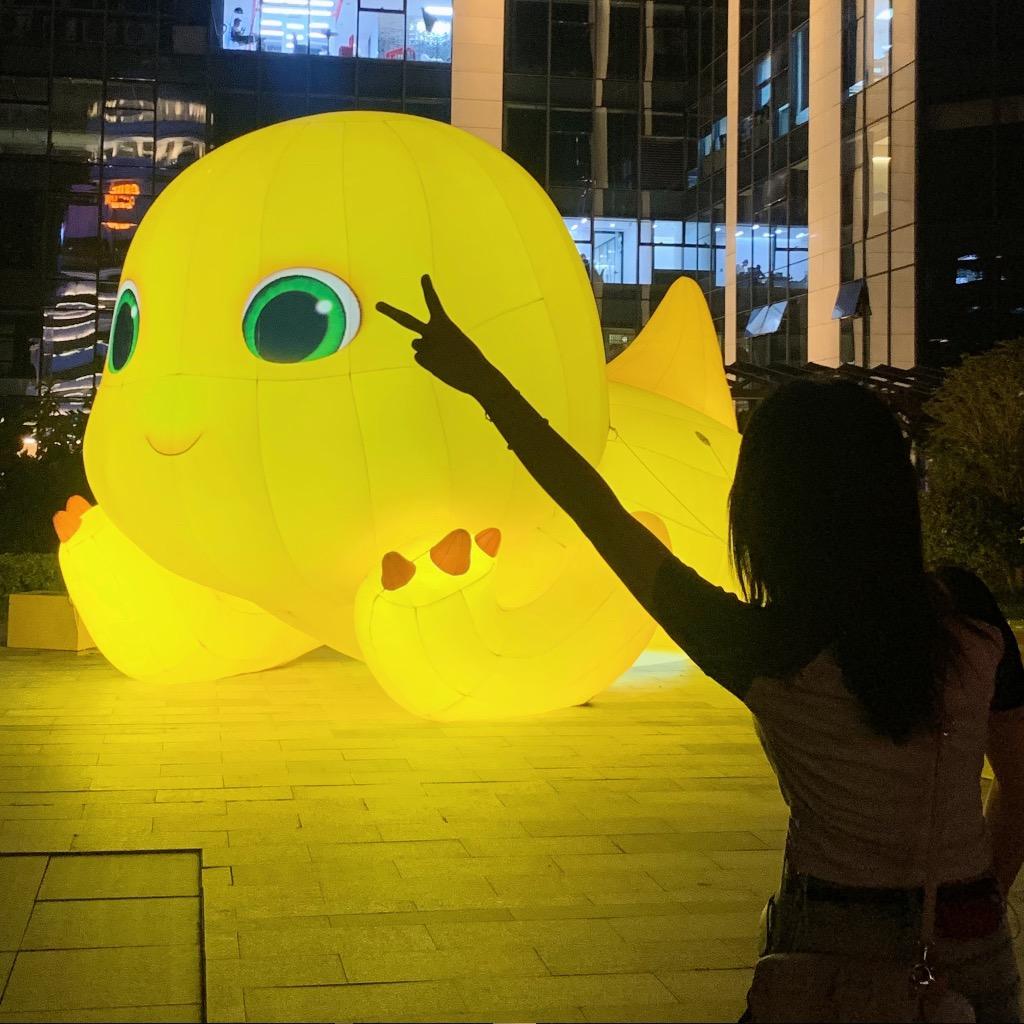 桔皮（做饭版）