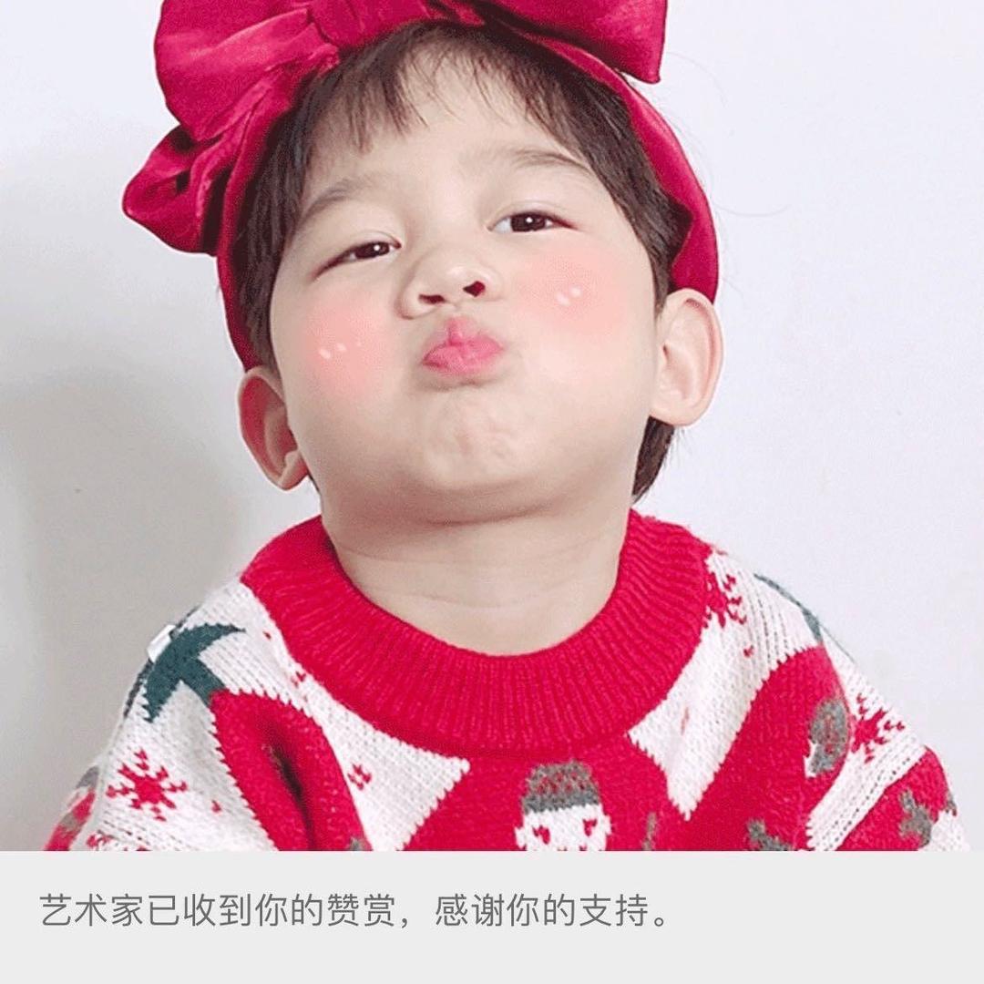 拱白菜的猪🐷 。