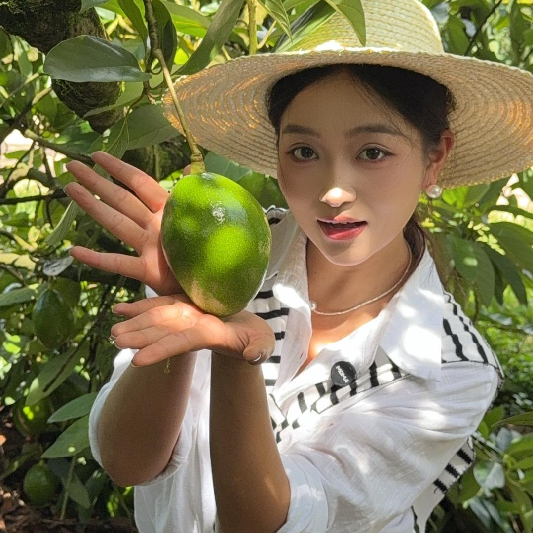 嘉榕牛油果