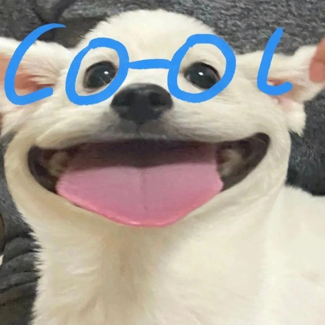 小月饼