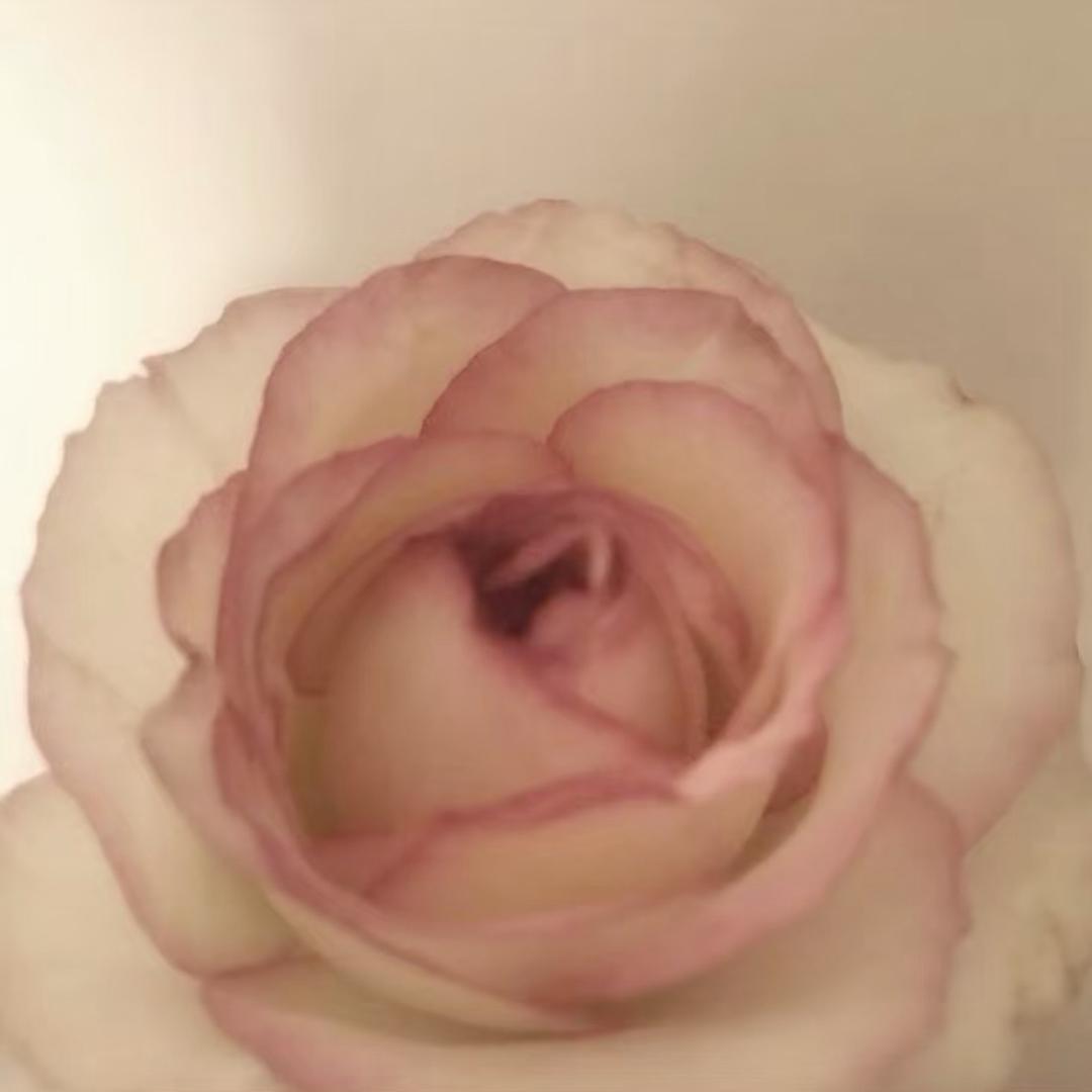 车zai日记