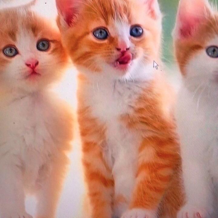 🍼