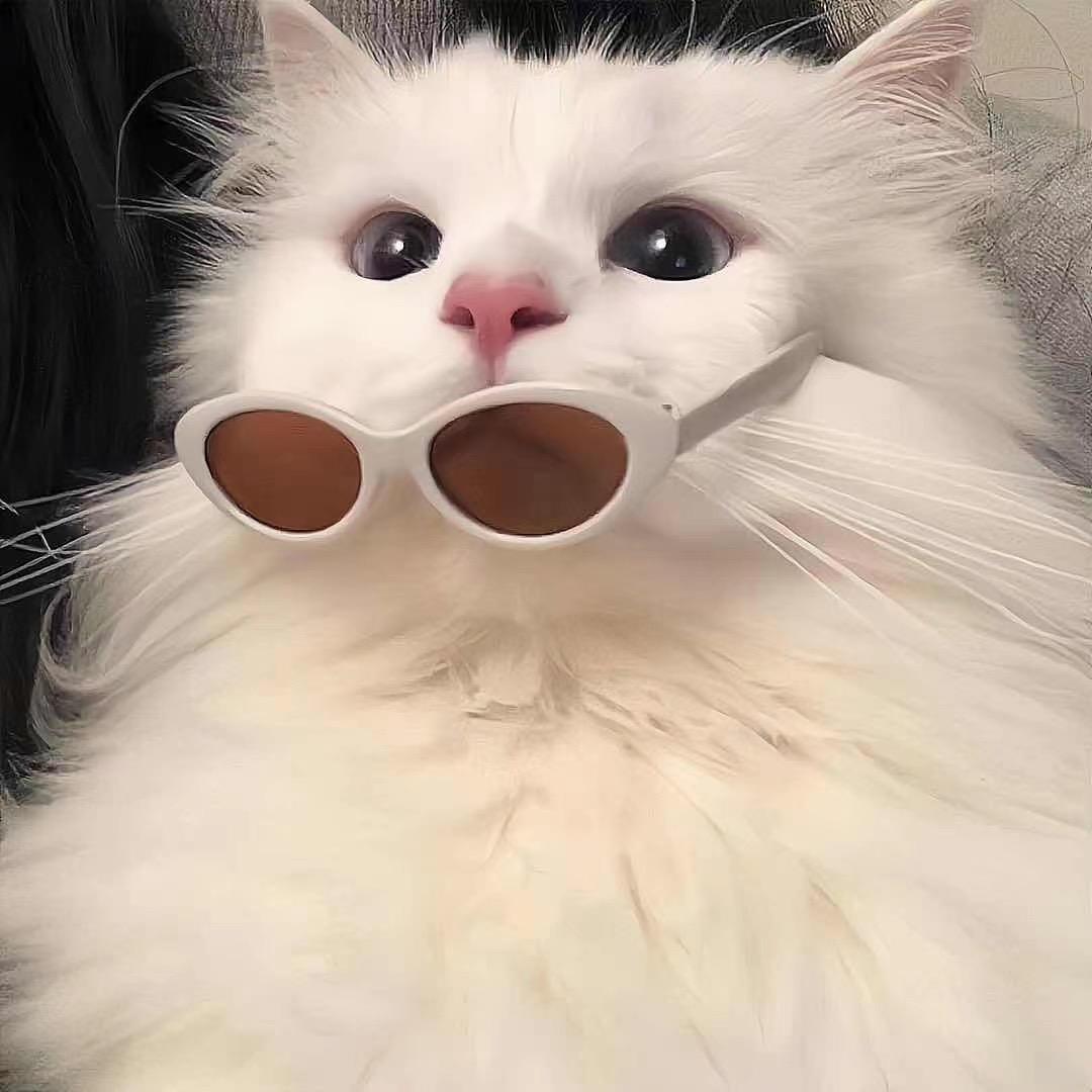 一个哇塞的小仙女