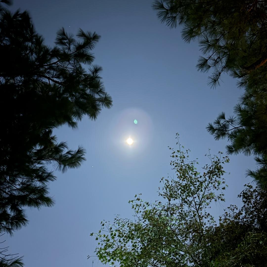 平庸