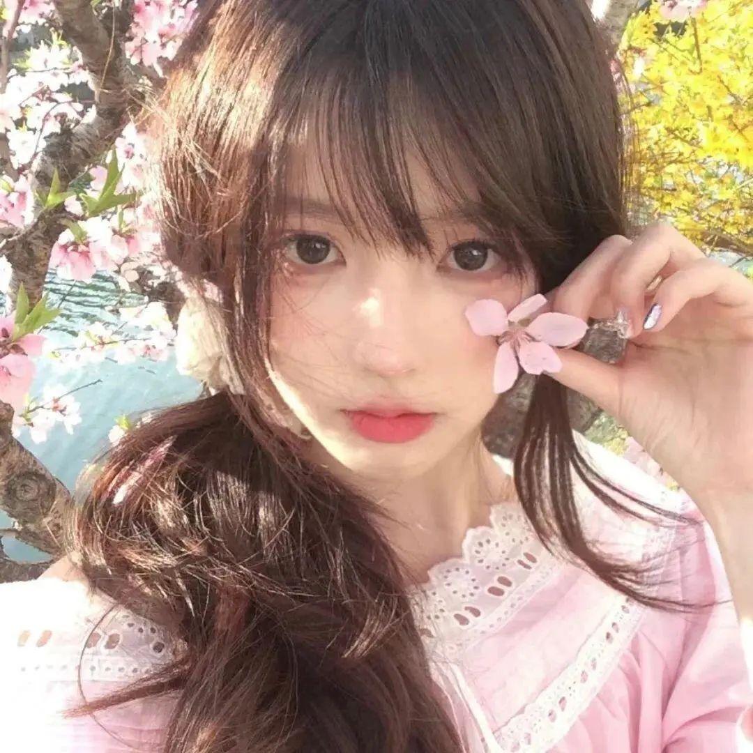🌼Vv.