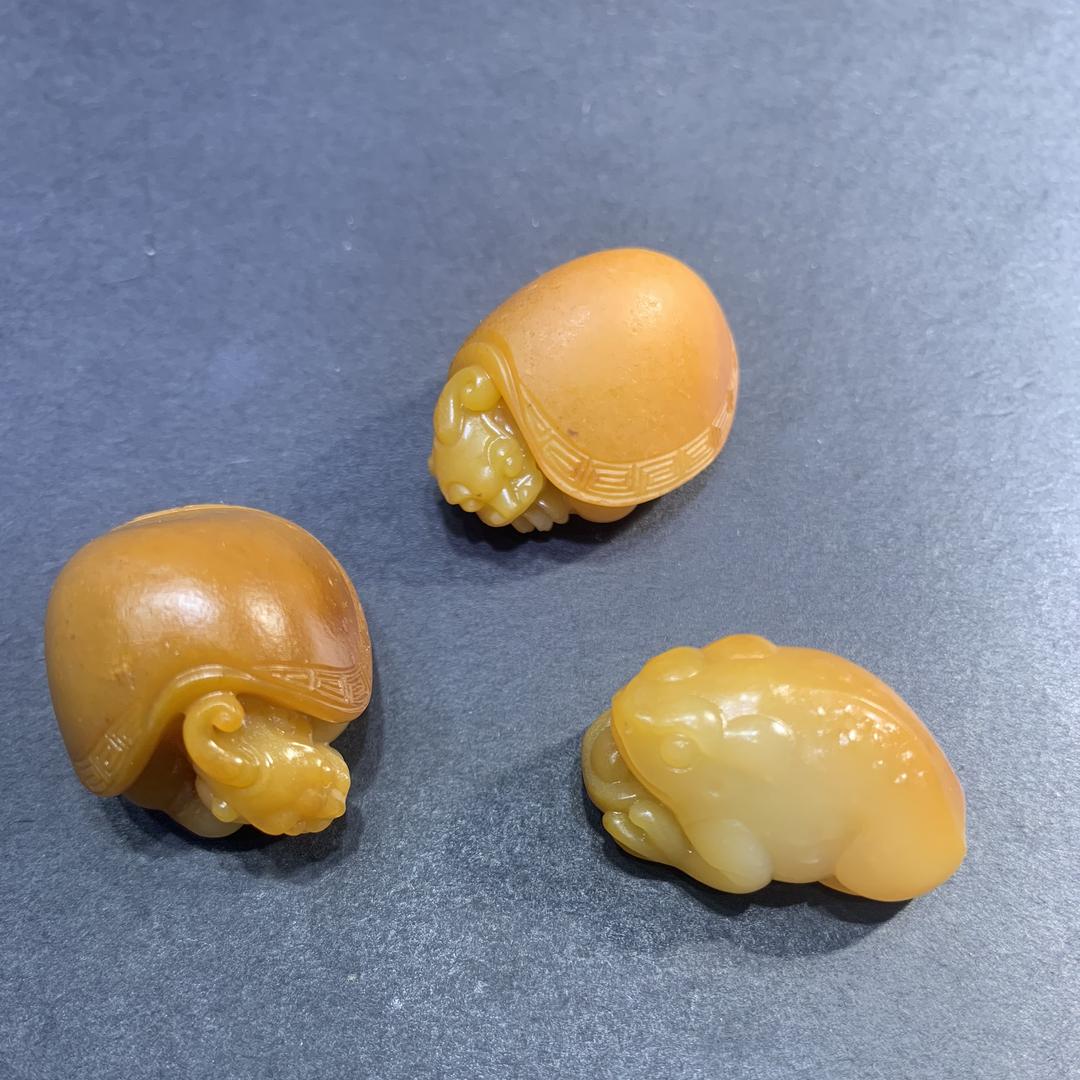 叶子藏玉