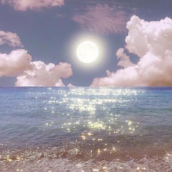 Fairy✨治愈馆主@抖音