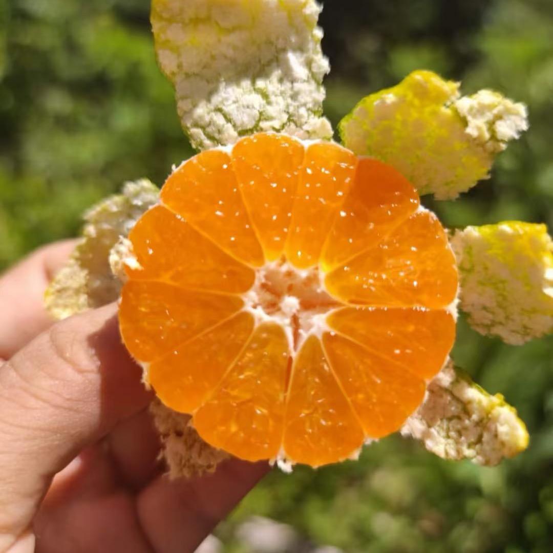 小芬助农