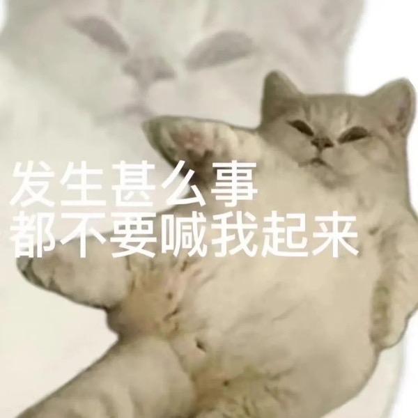 是囡囡呐