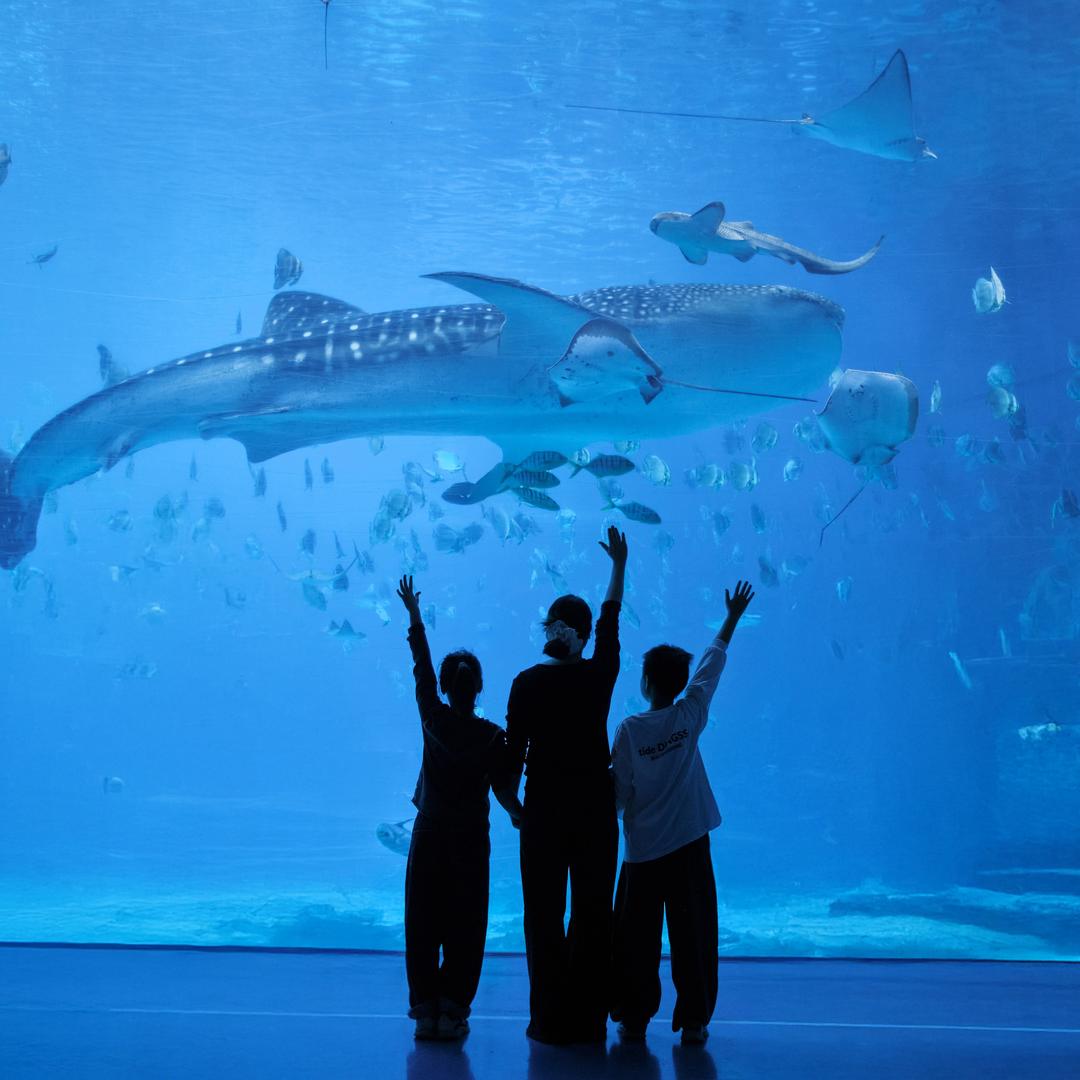 ཫ༄ᐝ好运Չ暴涨᭨ᮩ࿐