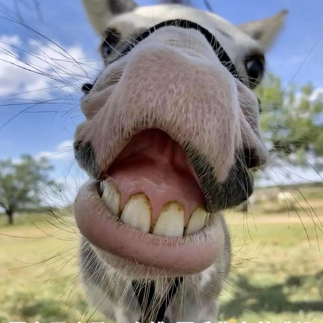 洛洛爸，爱钓鱼