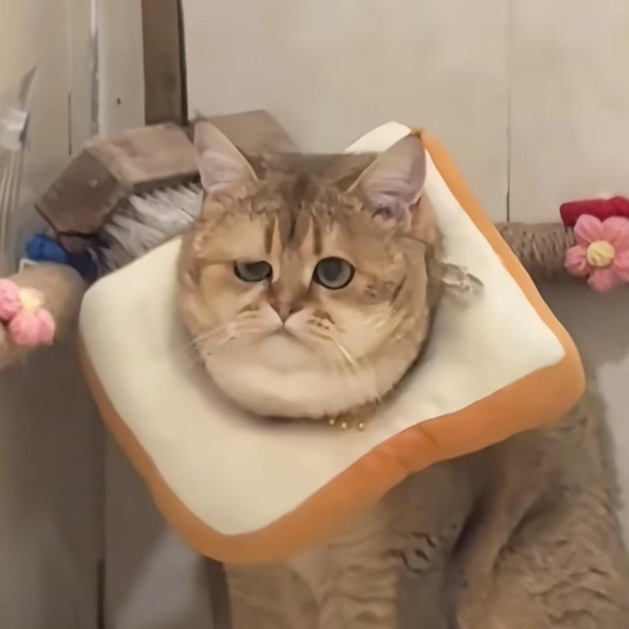 。不甜
