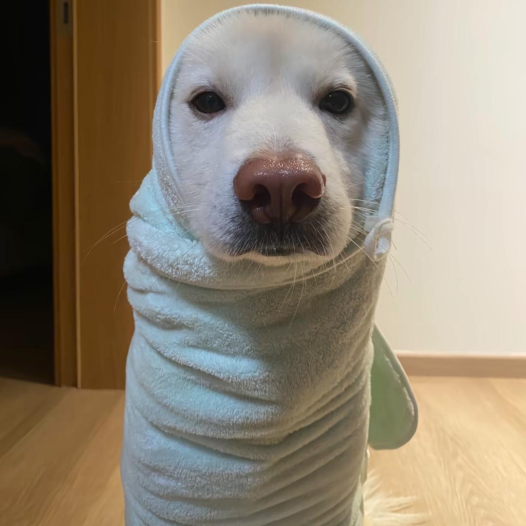 不知名网友