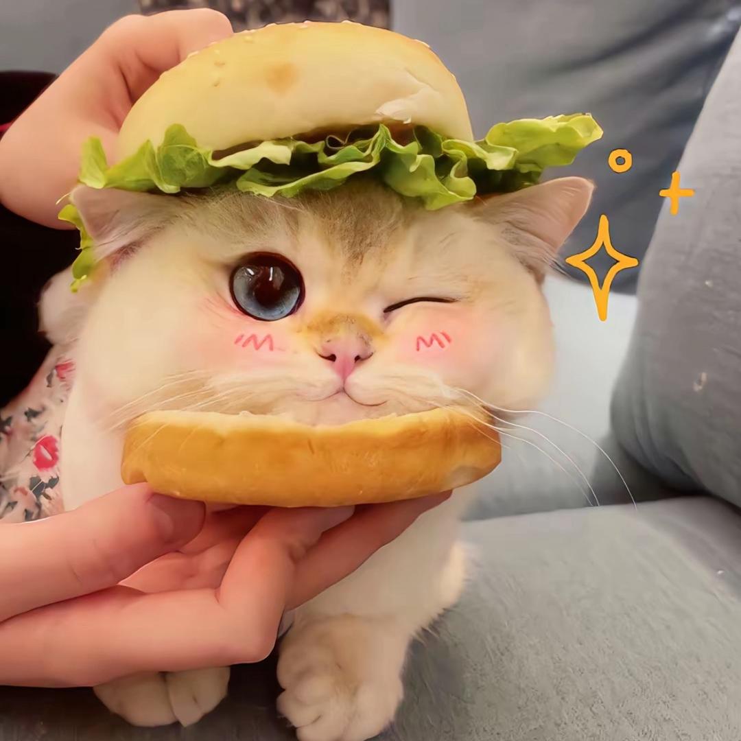 可爱猫手作捏捏（正版授权店）